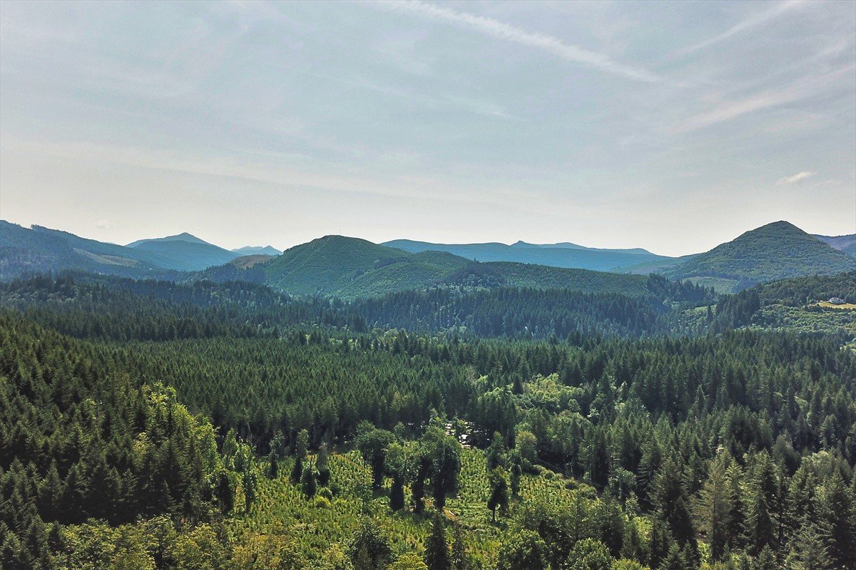 194saddleroad_073