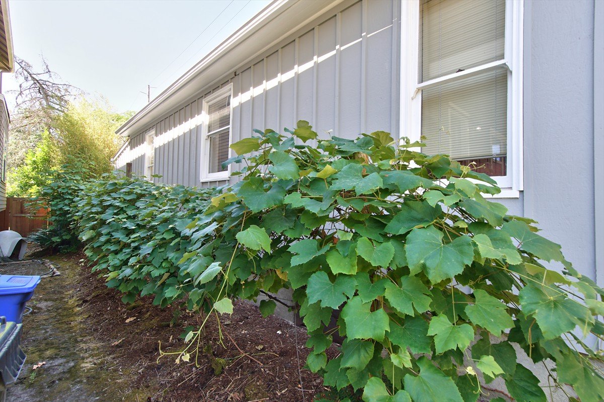 1704seharoldstreet_055