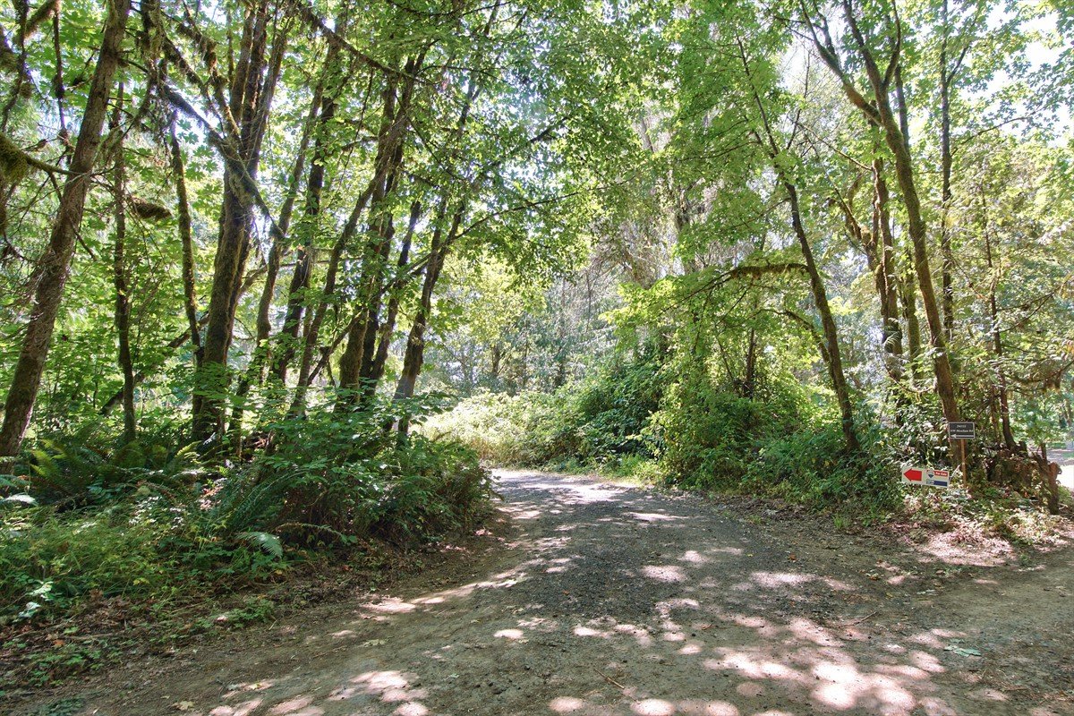 24111nwmeachamroad_003