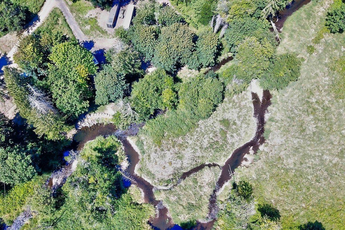 24111nwmeachamroad_007