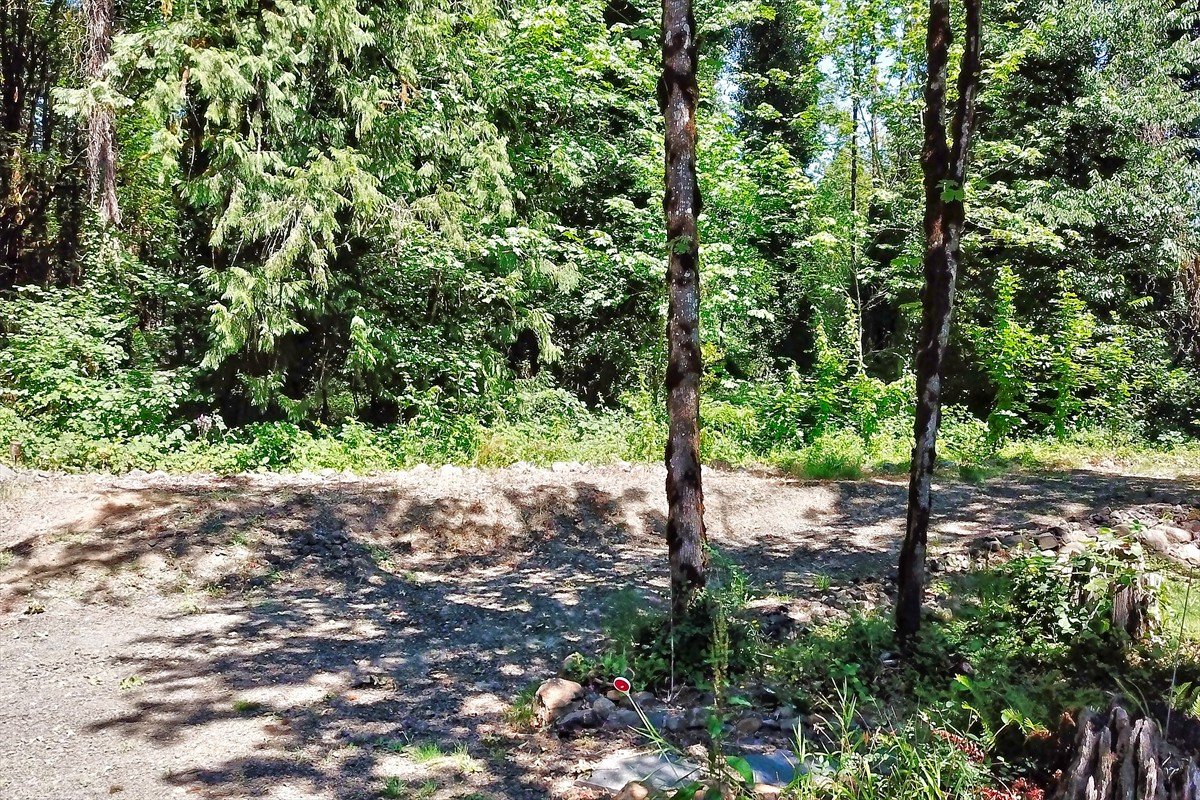 24111nwmeachamroad_012