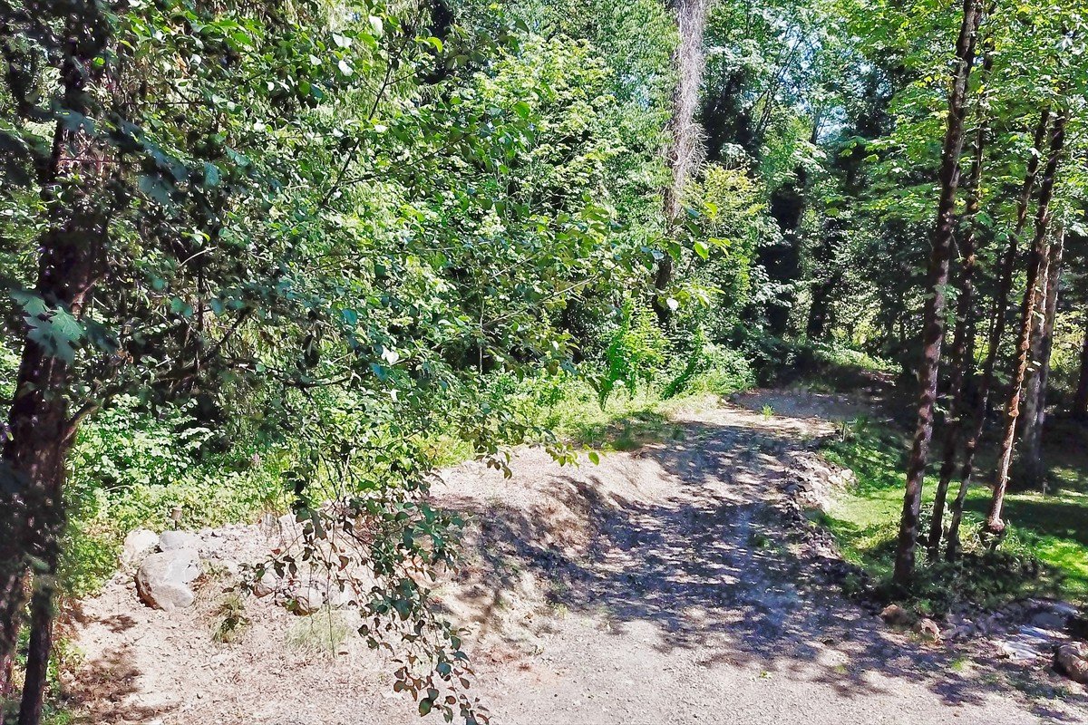 24111nwmeachamroad_014