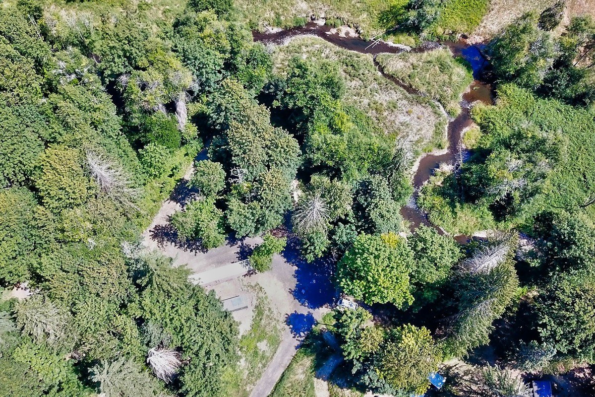 24111nwmeachamroad_018