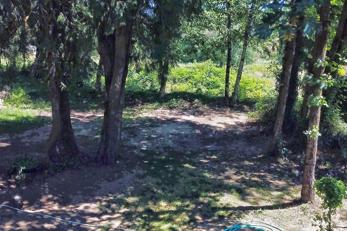 24111nwmeachamroad_024