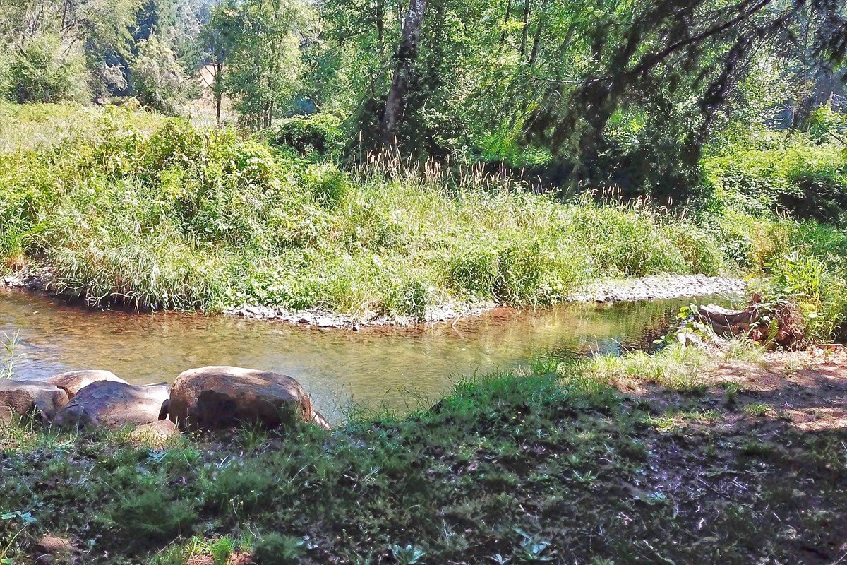 24111nwmeachamroad_025