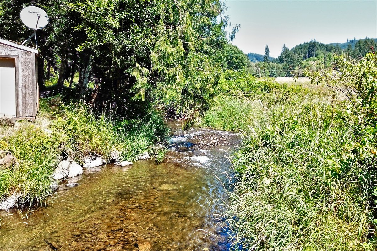 24111nwmeachamroad_030