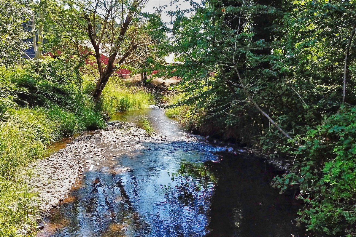 24111nwmeachamroad_031