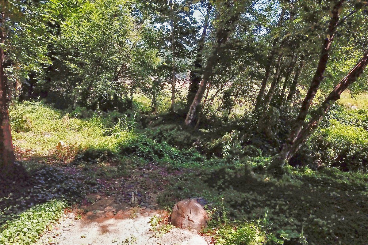 24111nwmeachamroad_034