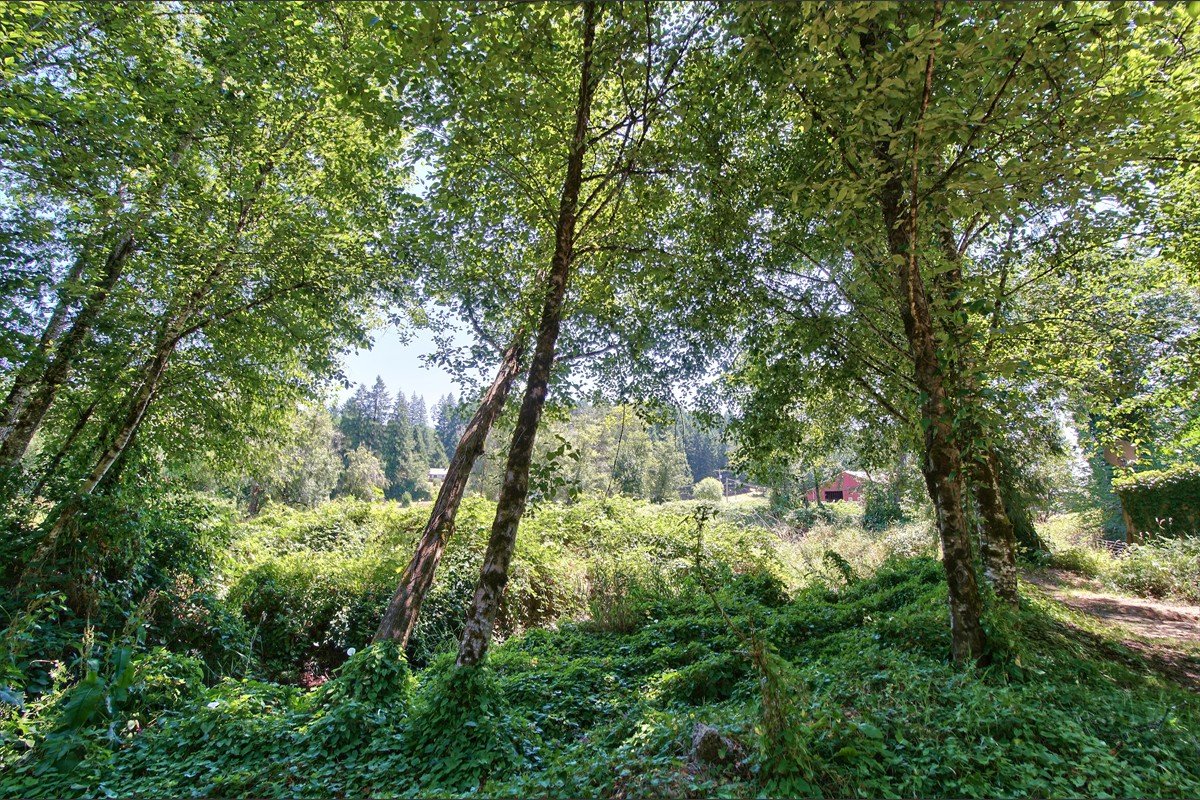 24111nwmeachamroad_051