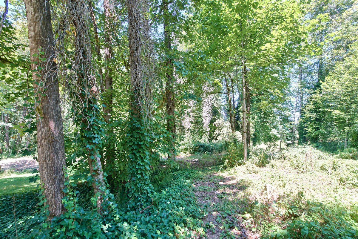 24111nwmeachamroad_052