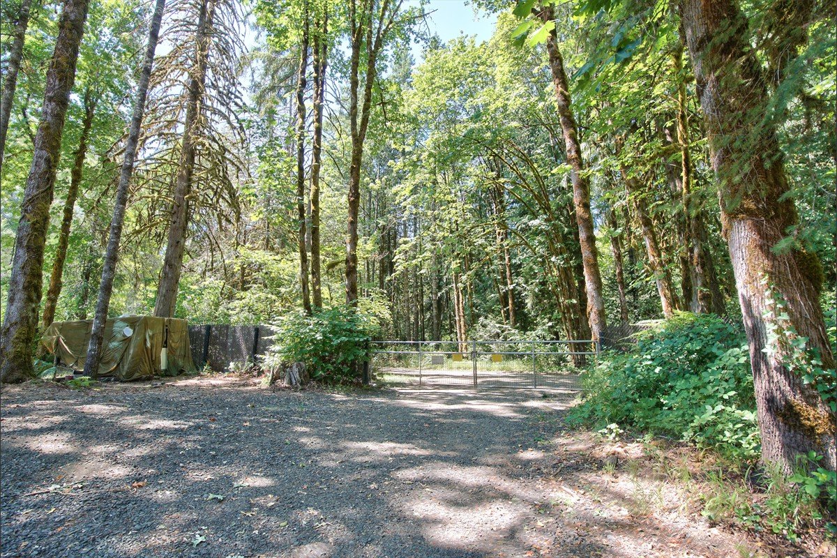 24111nwmeachamroad_057